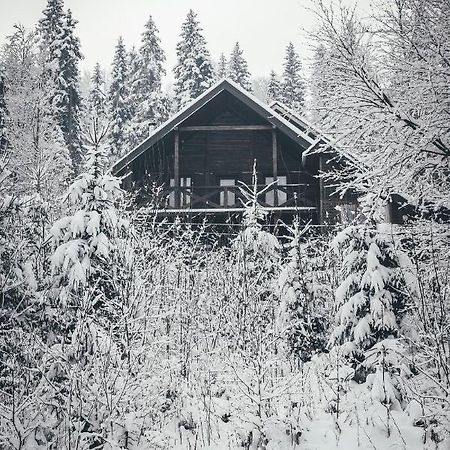 Chalet Shepit Karpat Bukovel Eksteriør billede