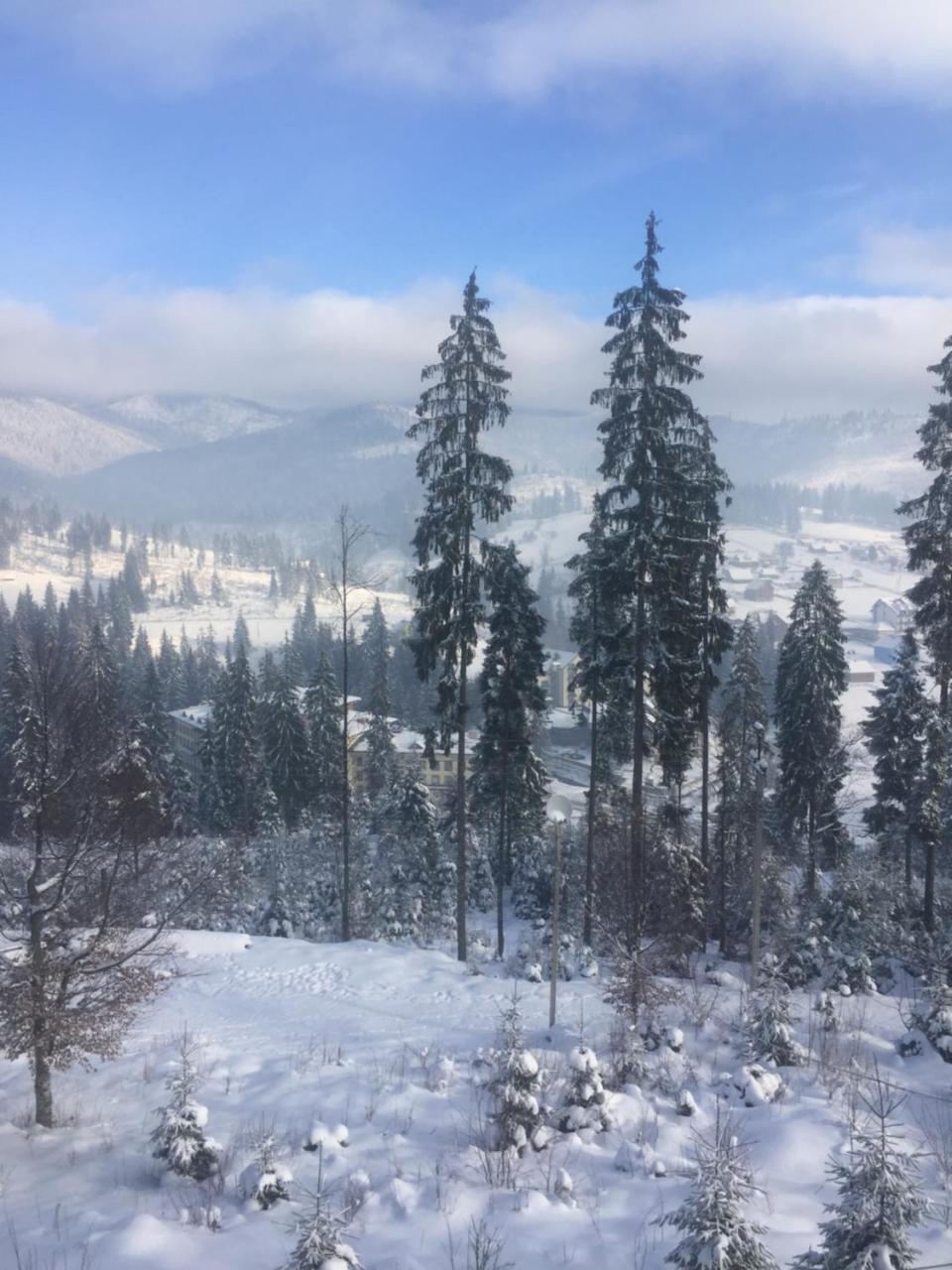 Chalet Shepit Karpat Bukovel Eksteriør billede