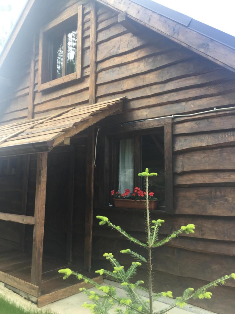 Chalet Shepit Karpat Bukovel Eksteriør billede
