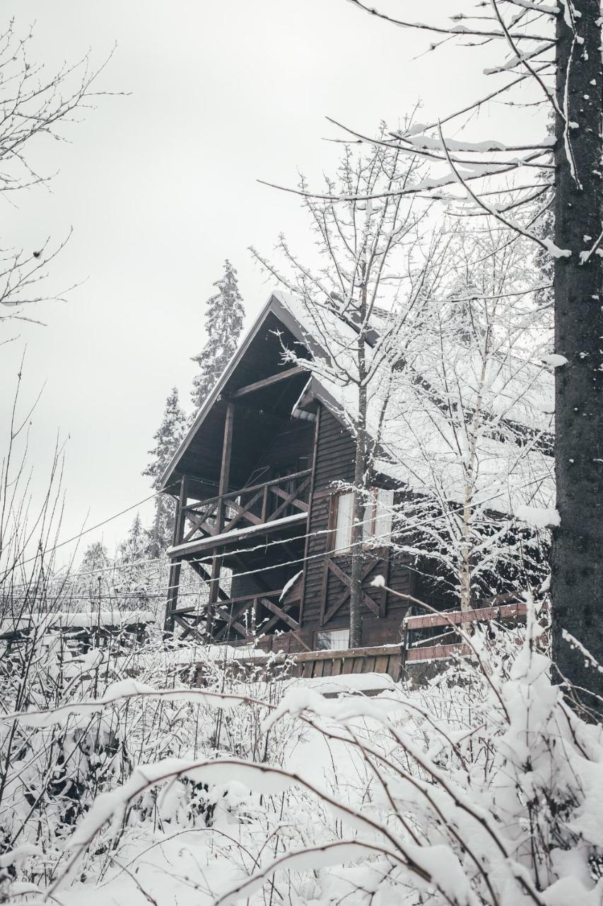 Chalet Shepit Karpat Bukovel Eksteriør billede